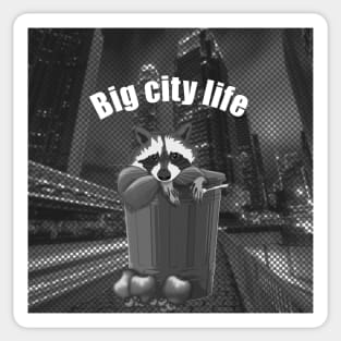 Big city life Urban raccoon Sticker